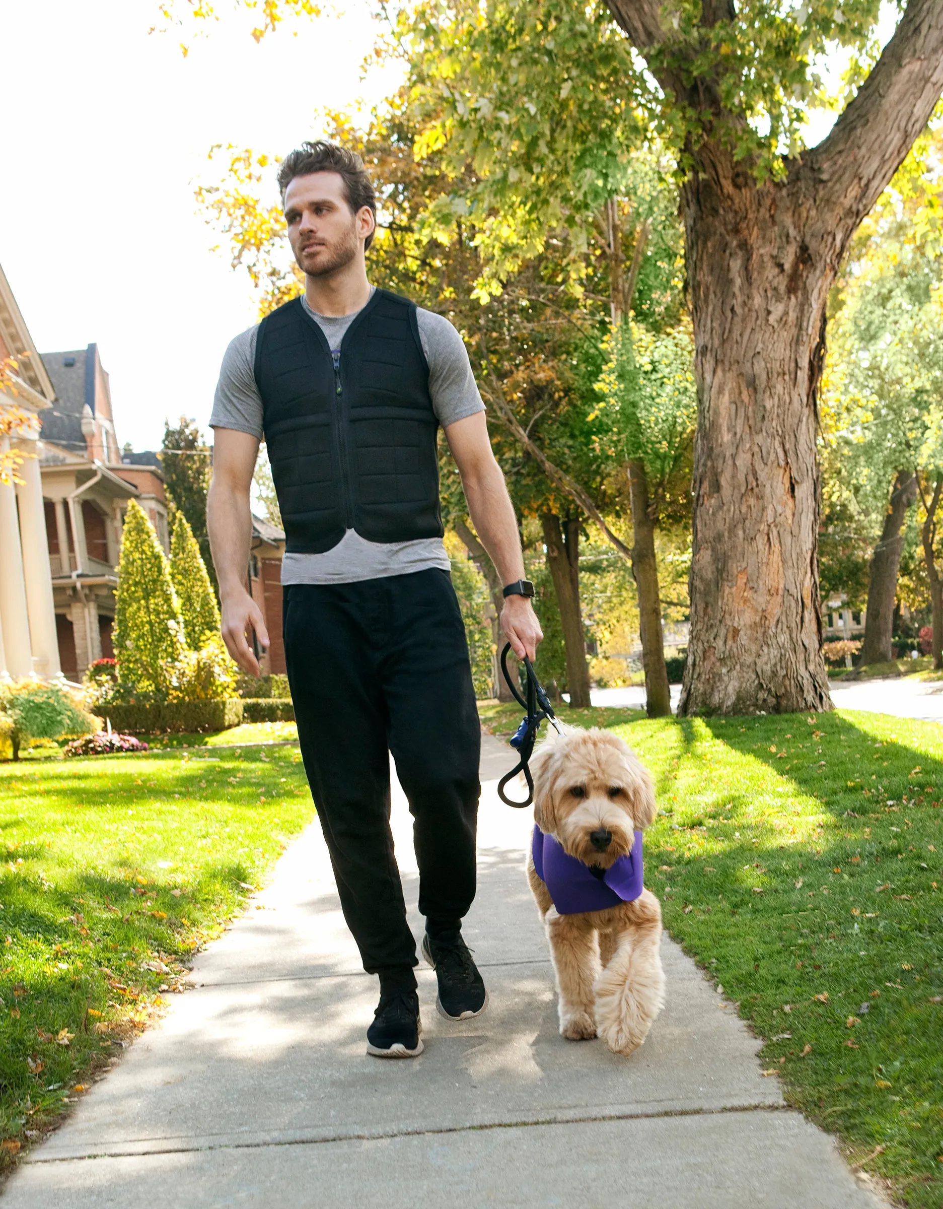 Power Wearhouse Power Weighted Vest , X-Large (42.5" - 45.5")