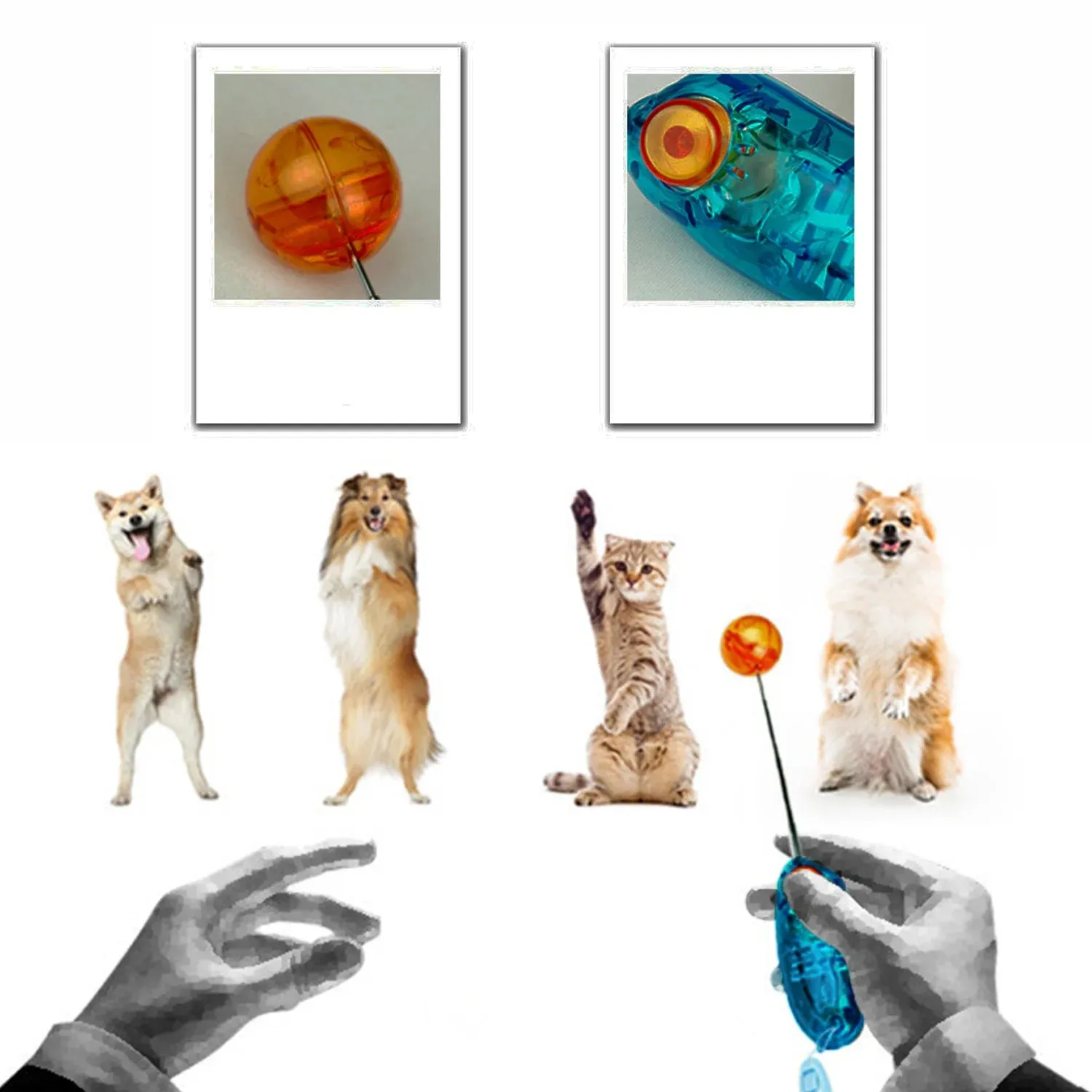 Stretchable Pet Training Clicker | Dog, Cat, Bird Agility Trainer & Whistle