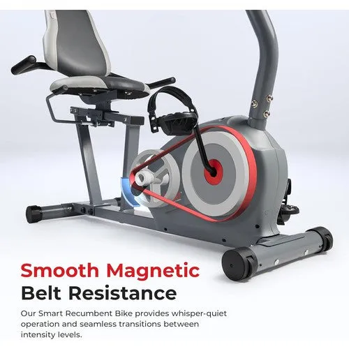 Sunny Health & Fitness Magnetic Recumbent Bike w/ Adjustable Wide Cushion Seat