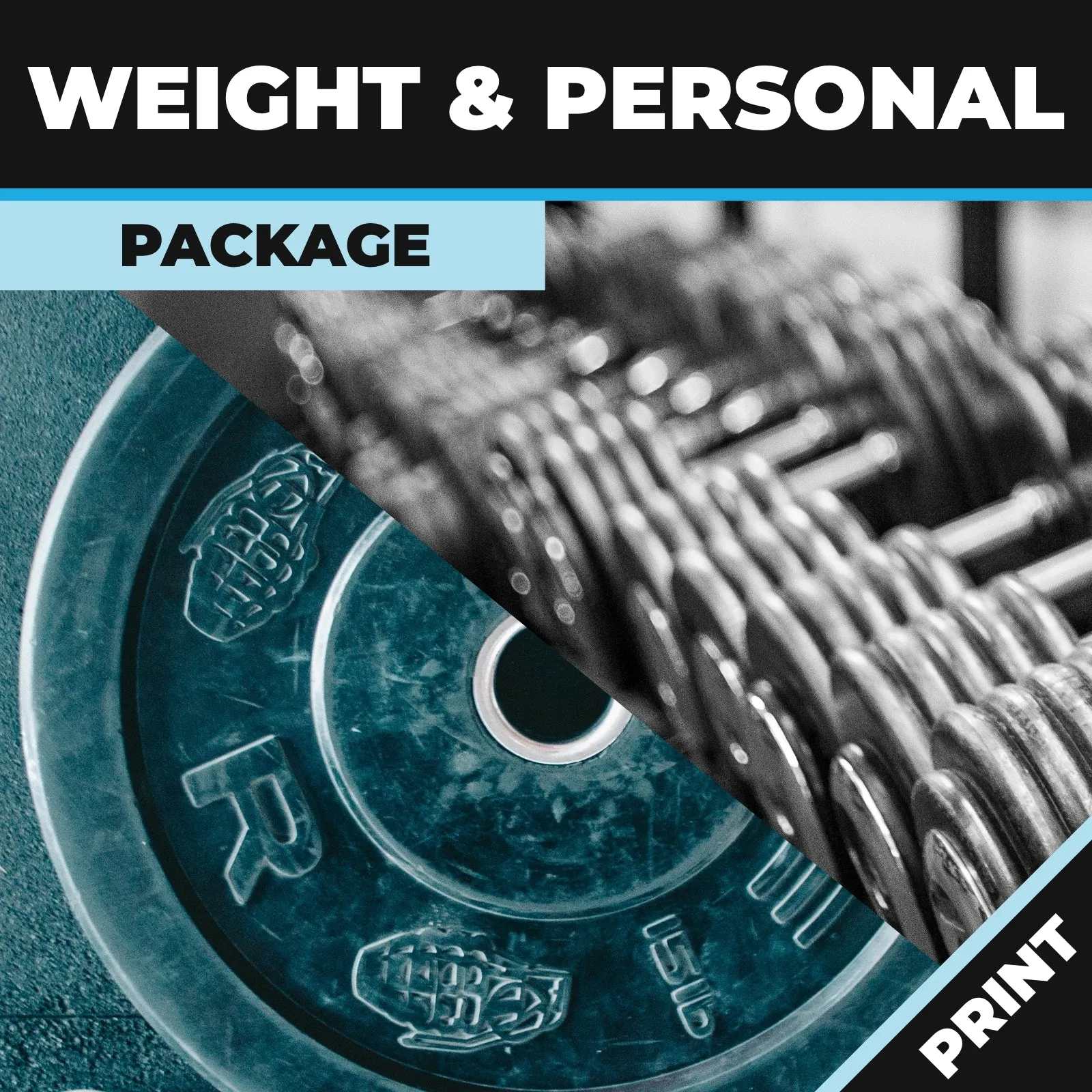Weight and Personal Trainers Online Package